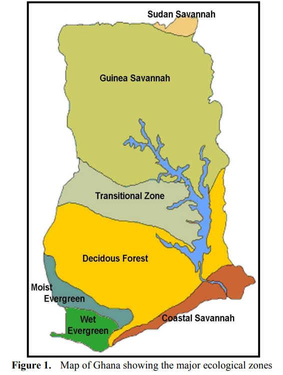 ガーナの植生