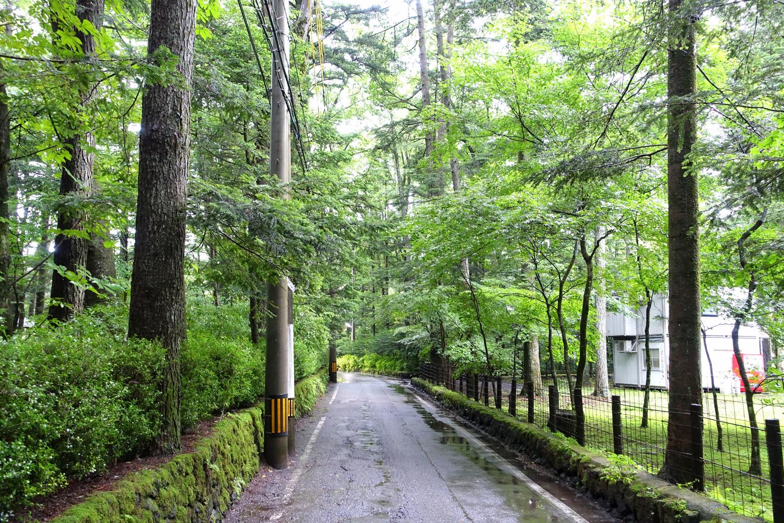 Nagano GeoGuessr guide image showing Karuizawa