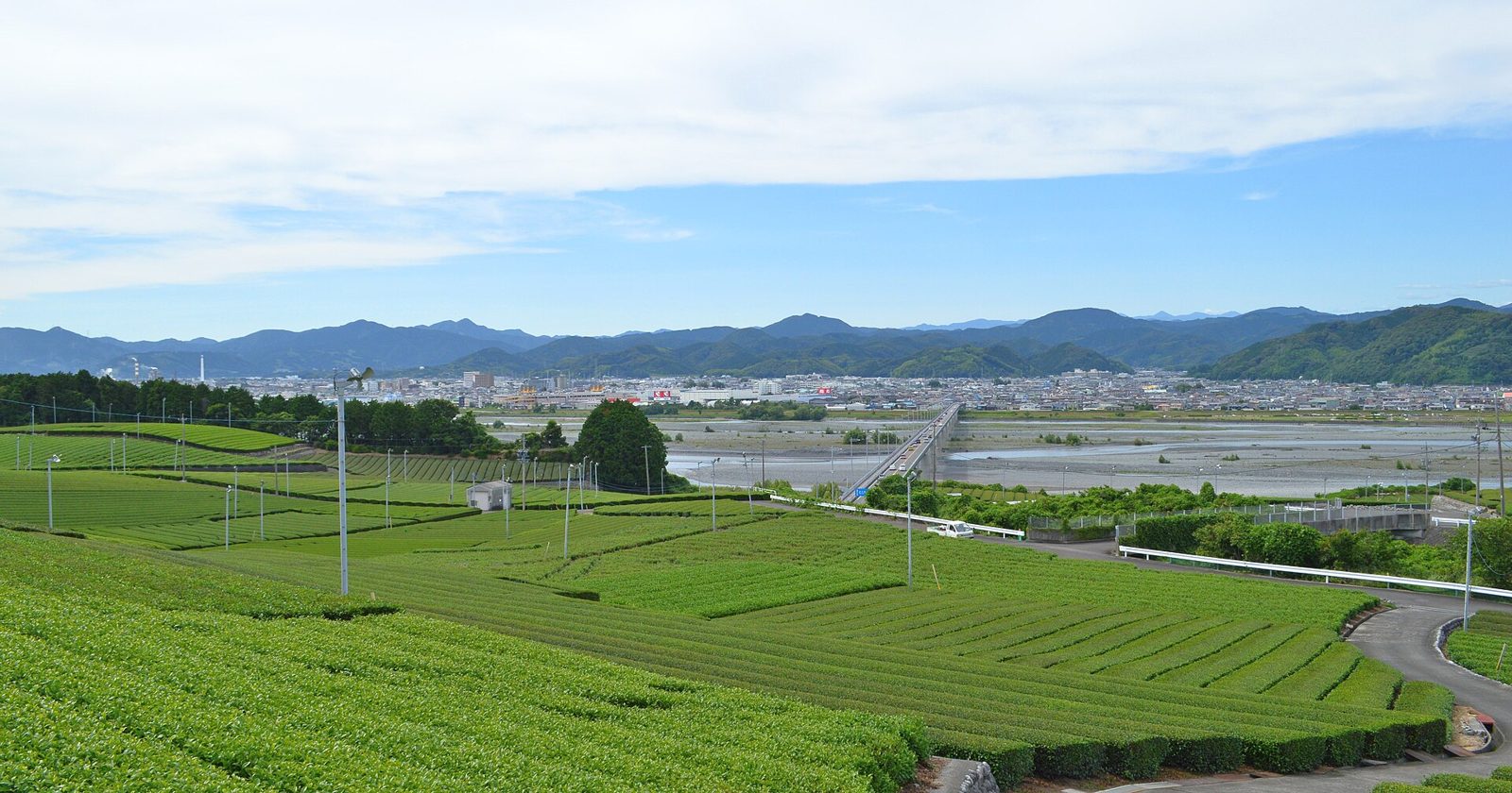 牧之原台地の茶畑（静岡県島田市）