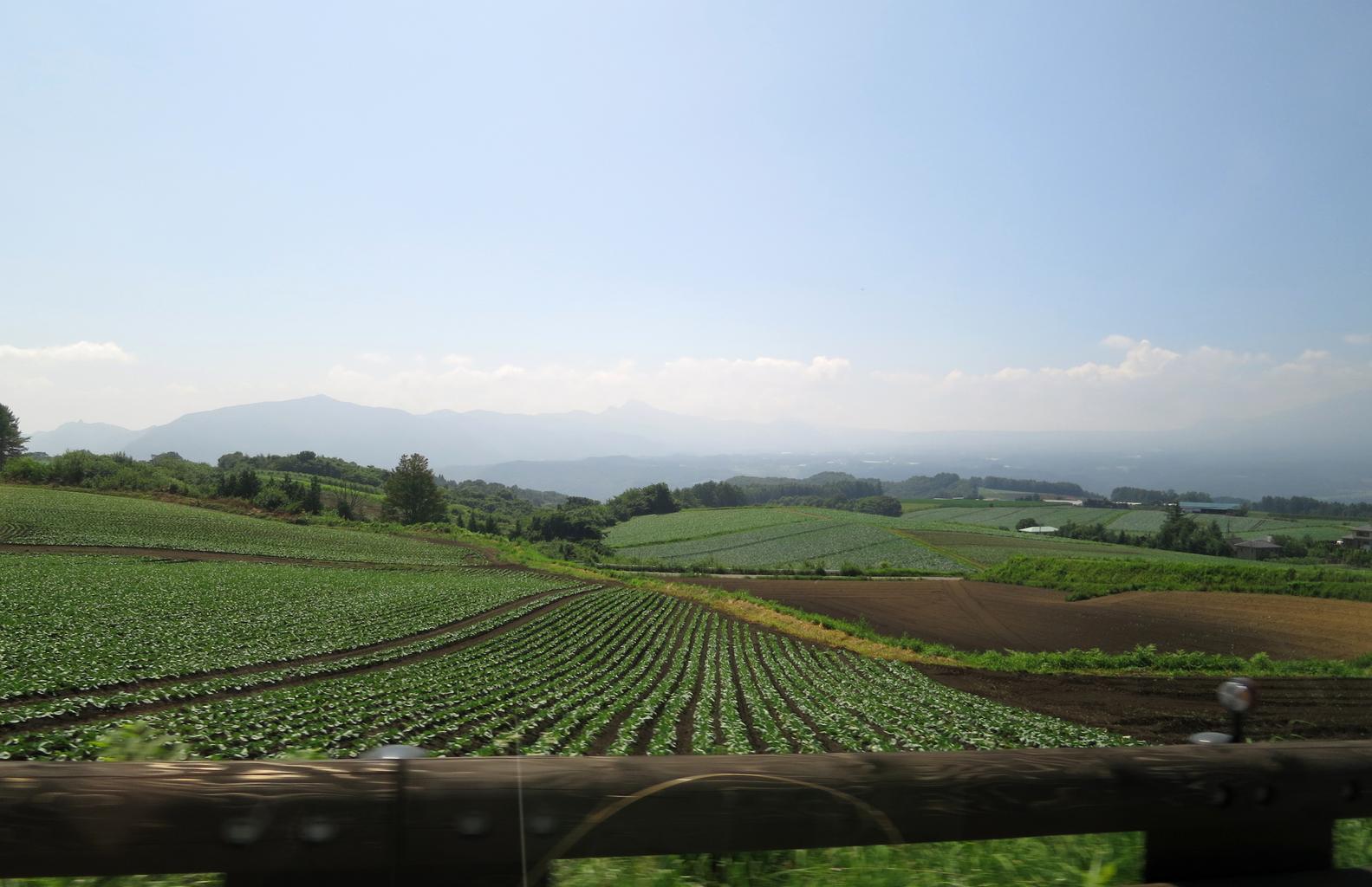 Gunma GeoGuessr guide image showing cabbage fields in Tsumagoi