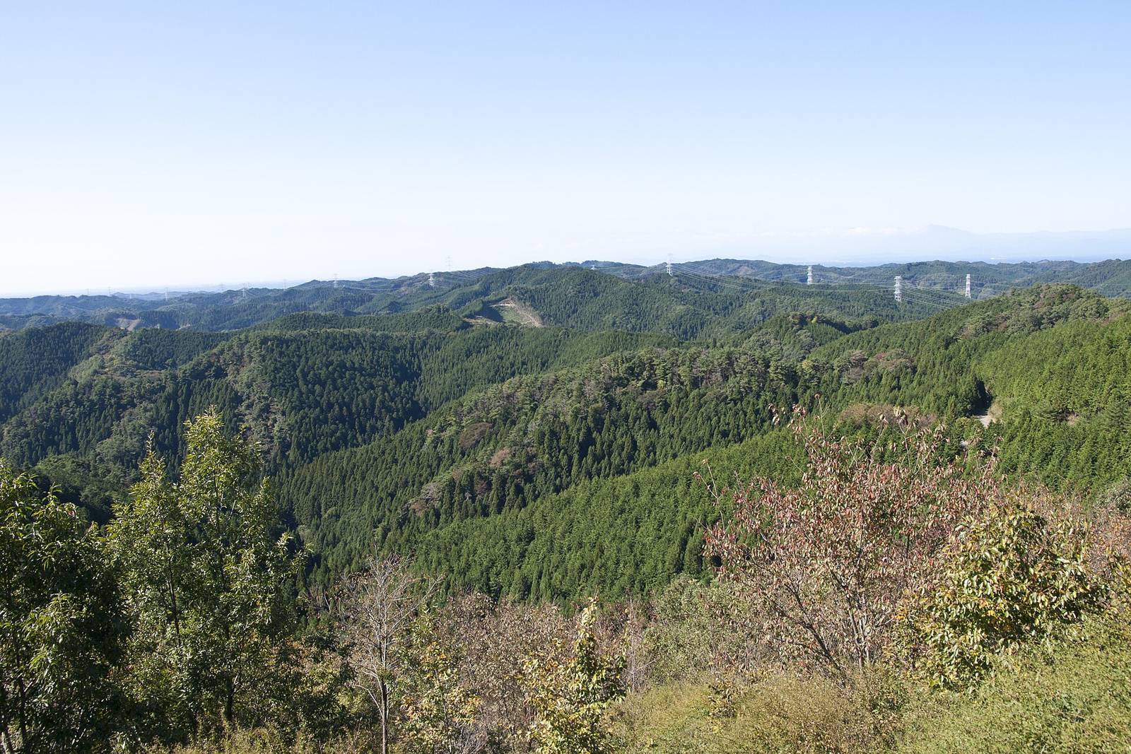 スギ林に覆われたなだらかな山が連なる八溝山地（茨城県・栃木県境）
