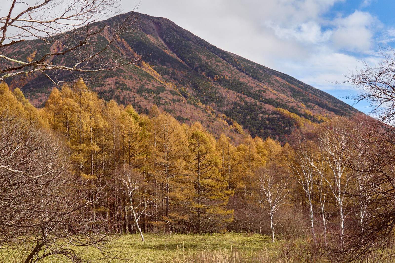 奥日光の森と火山の山並み（栃木県日光市）