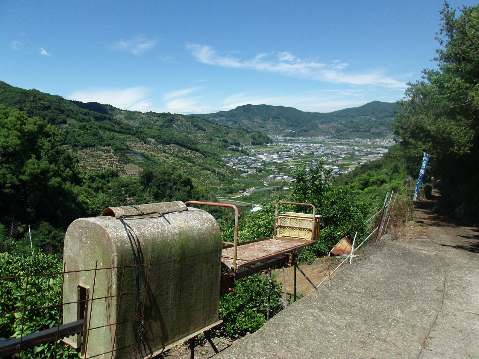 糸我峠のみかん畑と運搬用モノレール（和歌山県有田市）