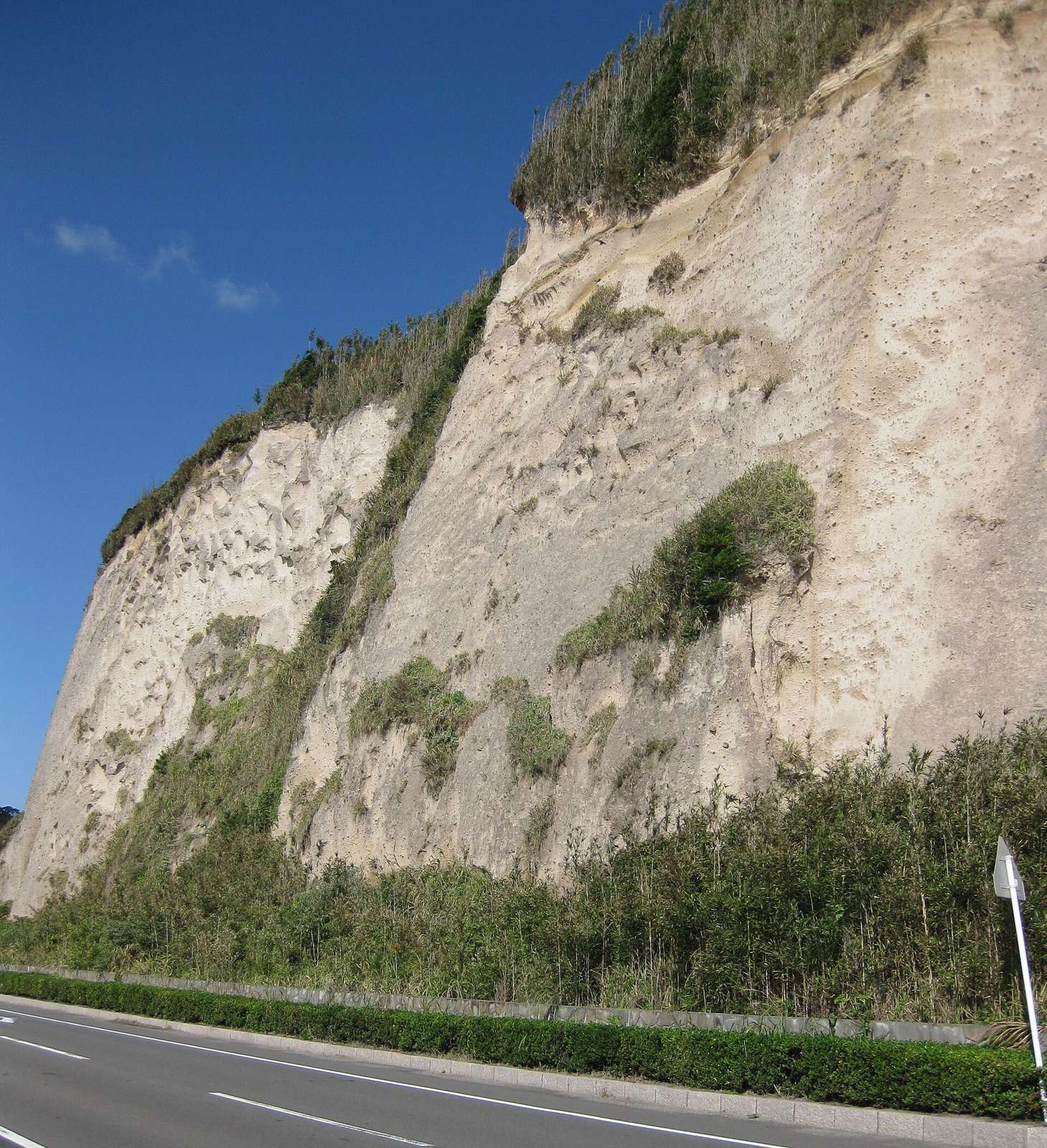 道沿いに現れる白っぽいシラスの崖(鹿児島県)