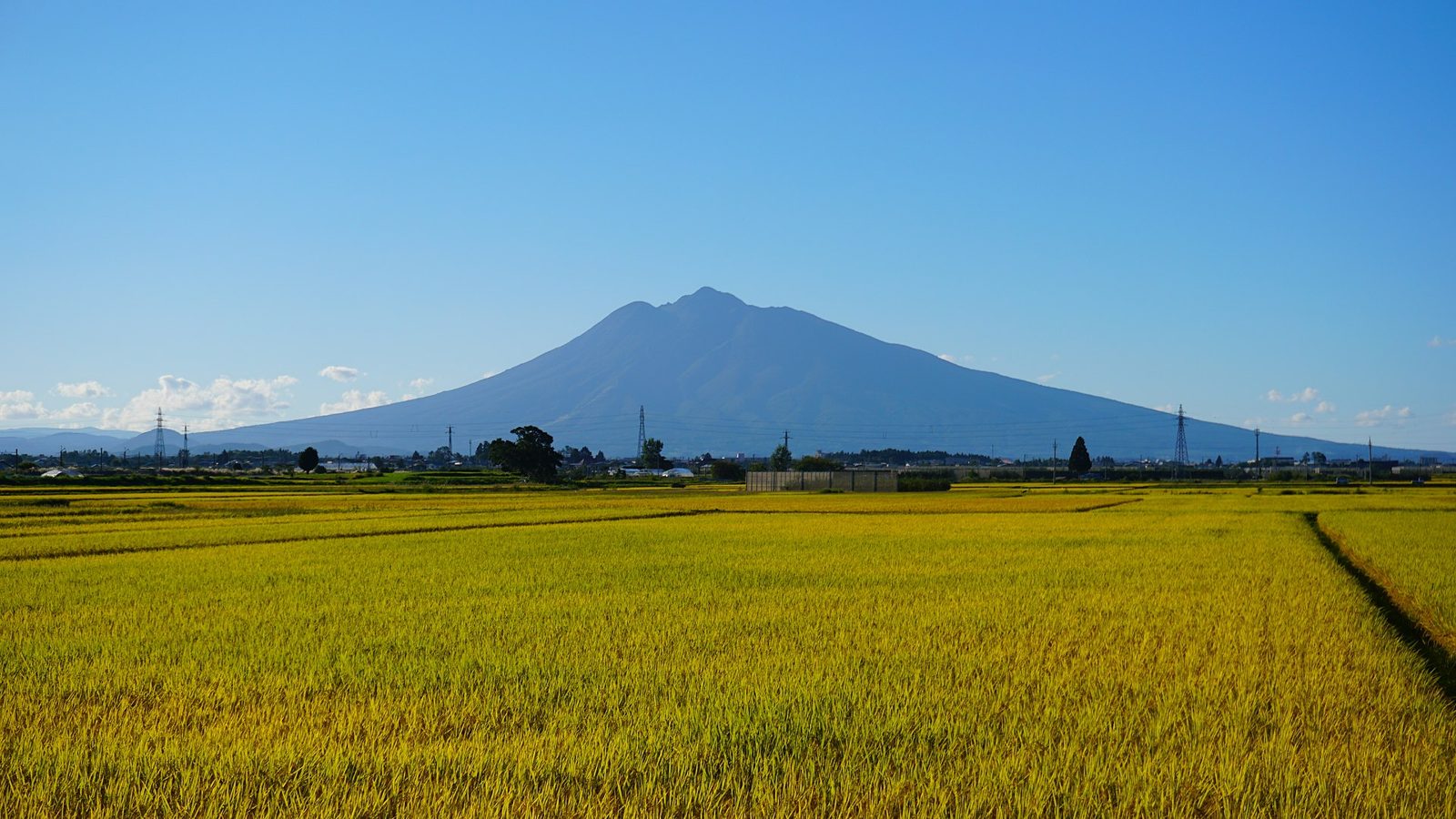 平らな水田の向こうに岩木山が見える(青森県)
