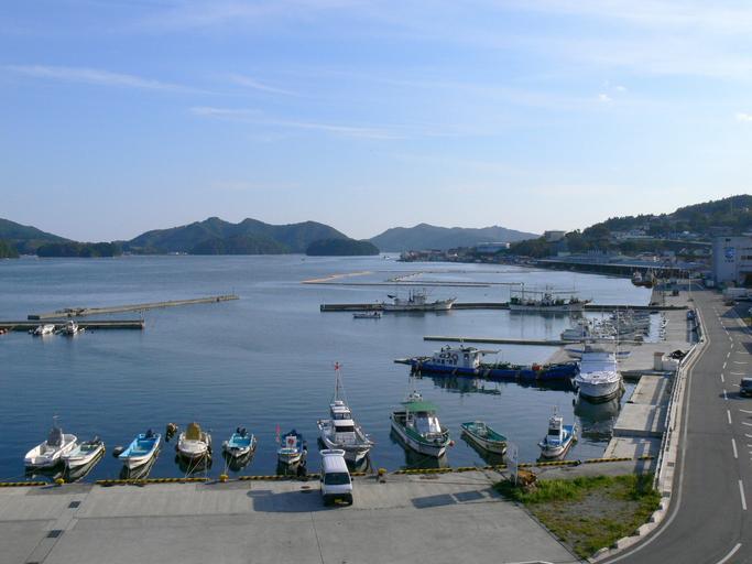 Iwate GeoGuessr guide image showing the Sanriku ria coast at Ofunato