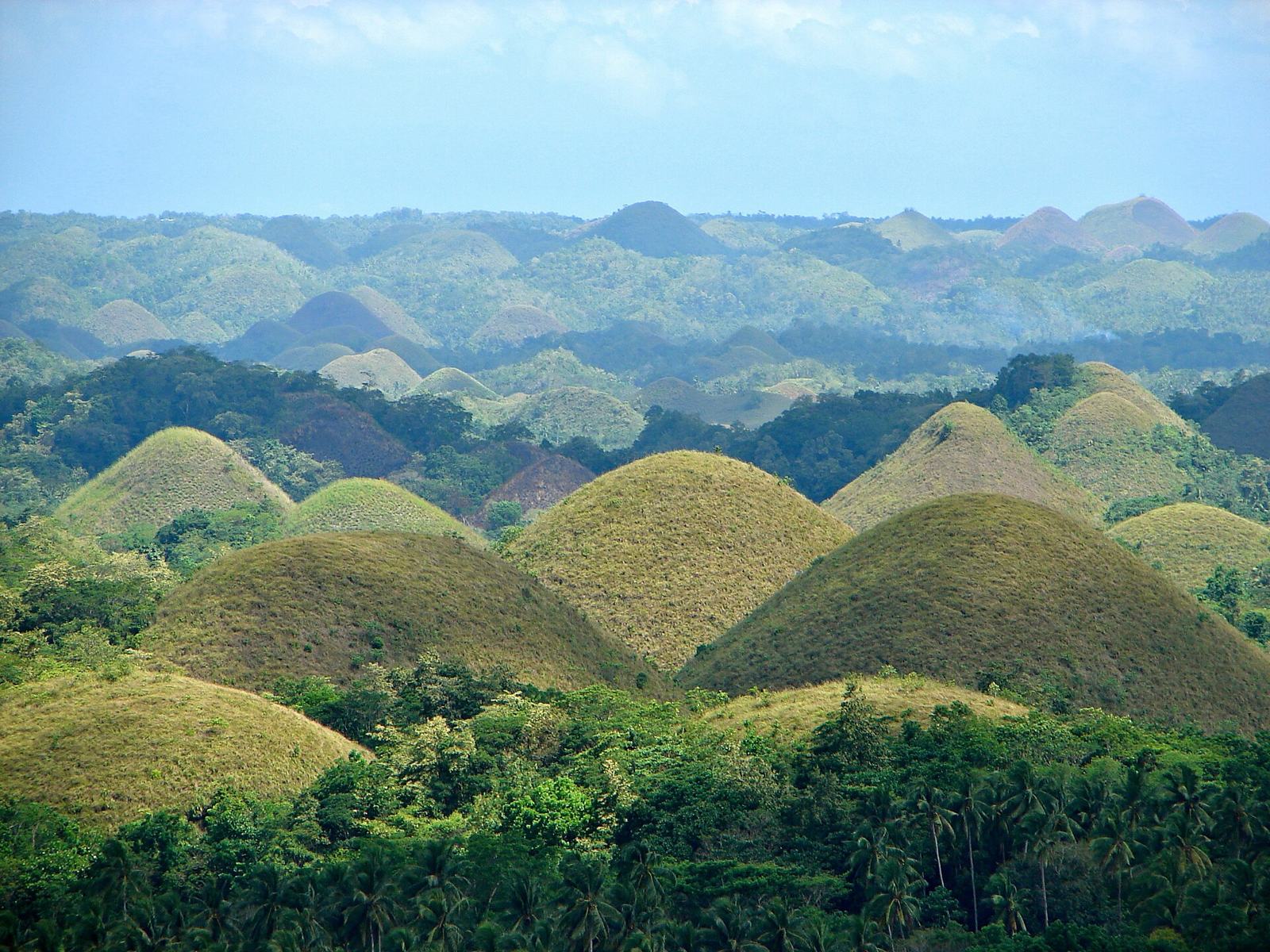 同じ大きさの円錐形の丘が並ぶChocolate Hills（Bohol島）