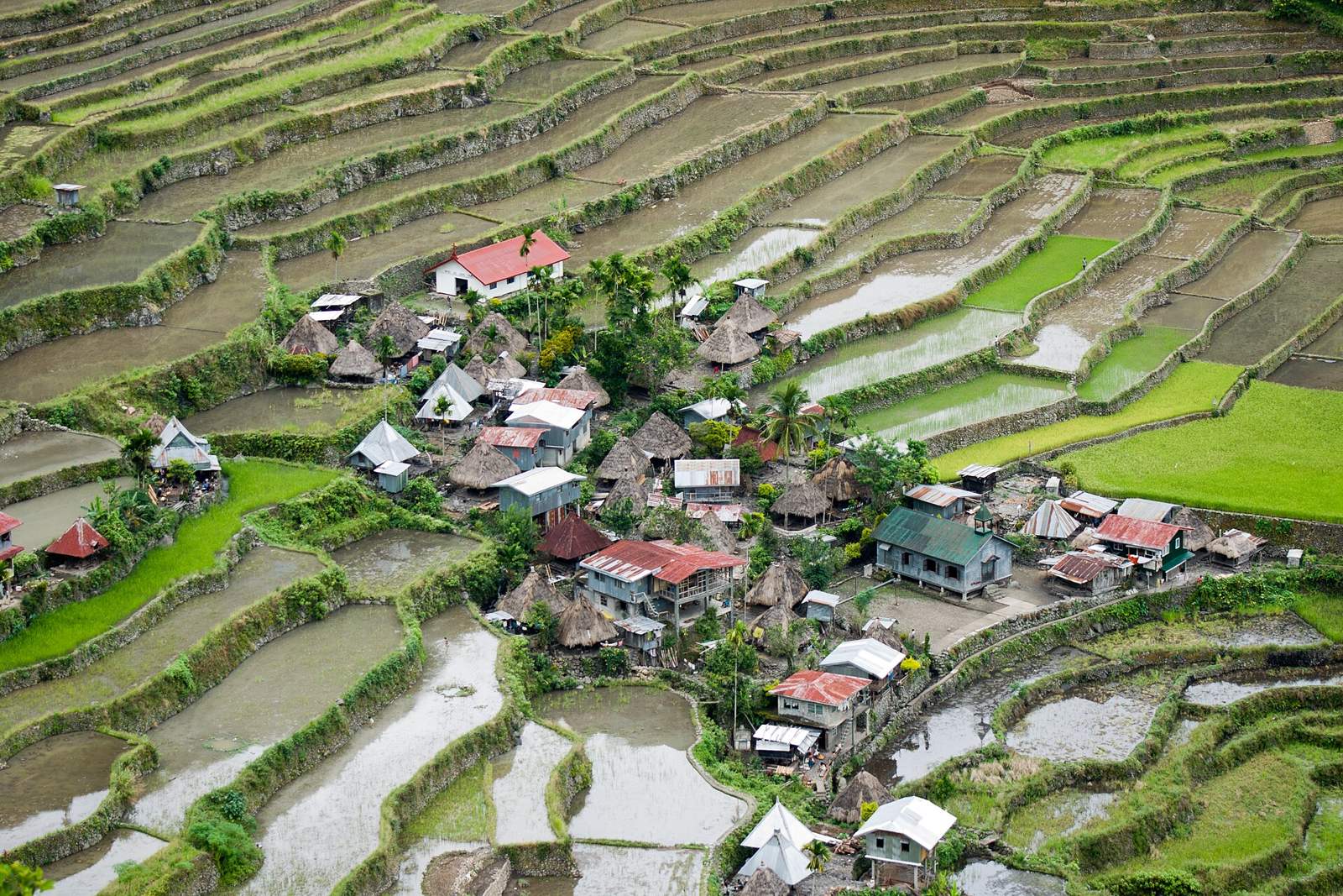 急斜面を埋める棚田と集落（Batad、Cordillera）