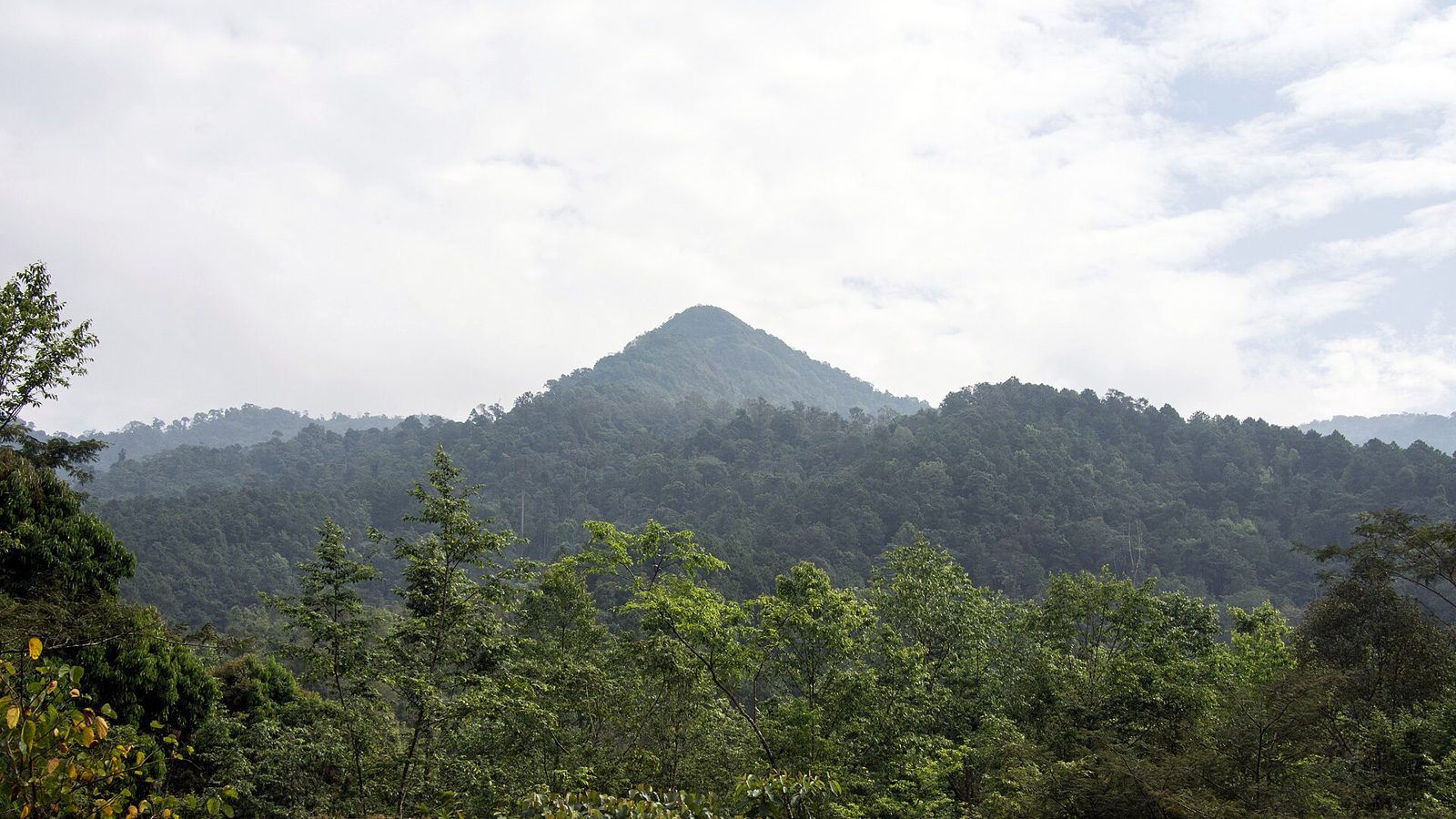 A row of forested, rugged mountains in the north (Doi Phu Kha)