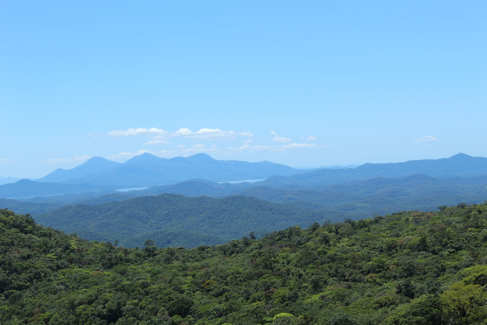 森に覆われたSerra do Marの山並み(Paraná州、Curitiba〜Paranaguá鉄道から)
