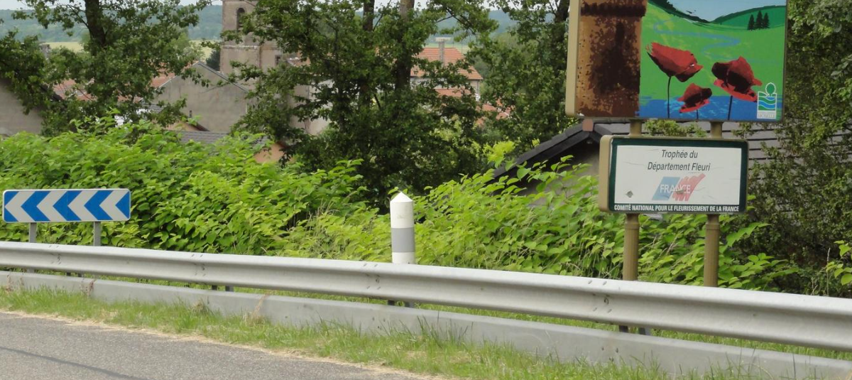 France GeoGuessr guide image showing Road With Bollard