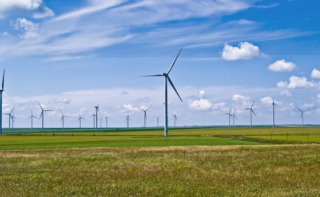 畑の中に並ぶ風力発電機（Fântânele・Cogealac風力発電所）