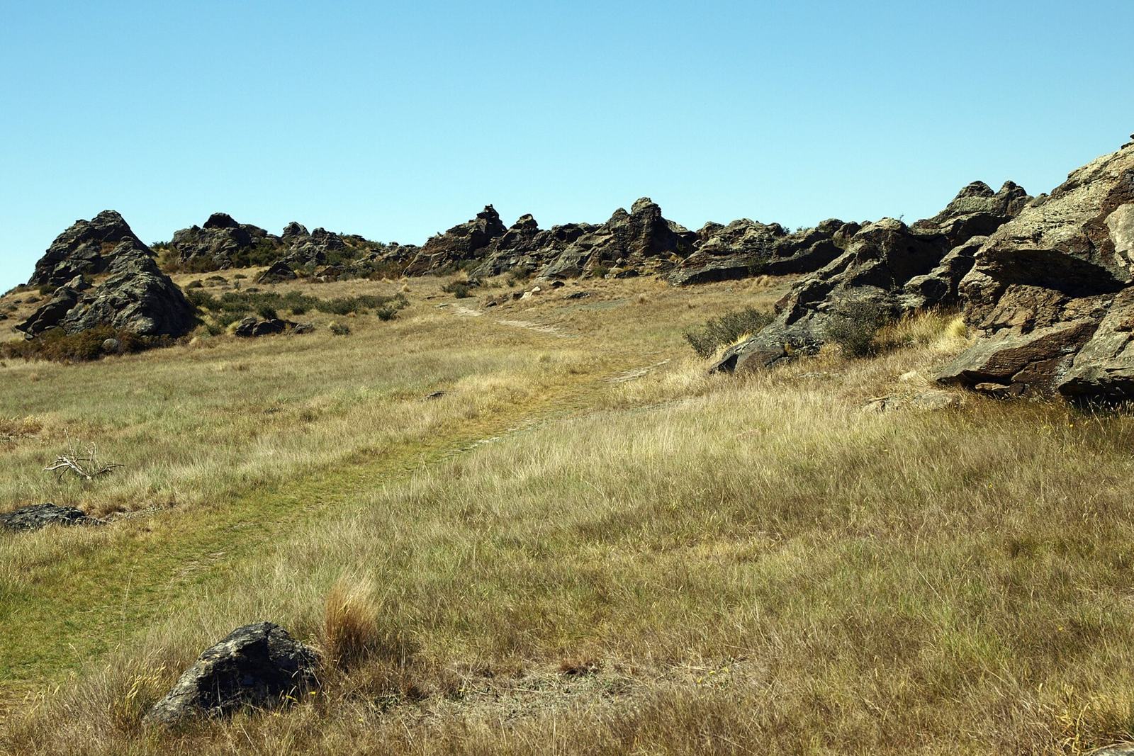 黄褐色のタソックと灰色の岩が突き出す丘(Rock and Pillar山地)