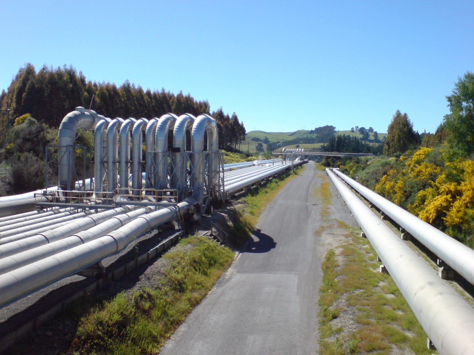 地面の上を走る銀色の蒸気パイプ(Wairakei、Taupō近郊)
